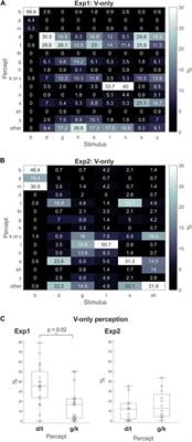 Rethinking the Mechanisms Underlying the McGurk Illusion